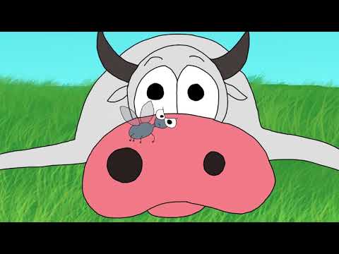 ბუზი და ძროხა (the fly and the cow)